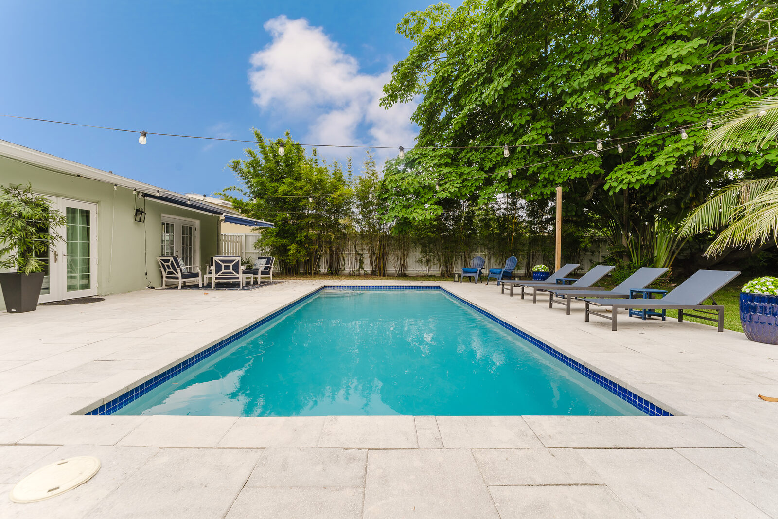 Backyard and garden view